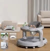 Multifunctional Baby Walker (BSB-6889) ©